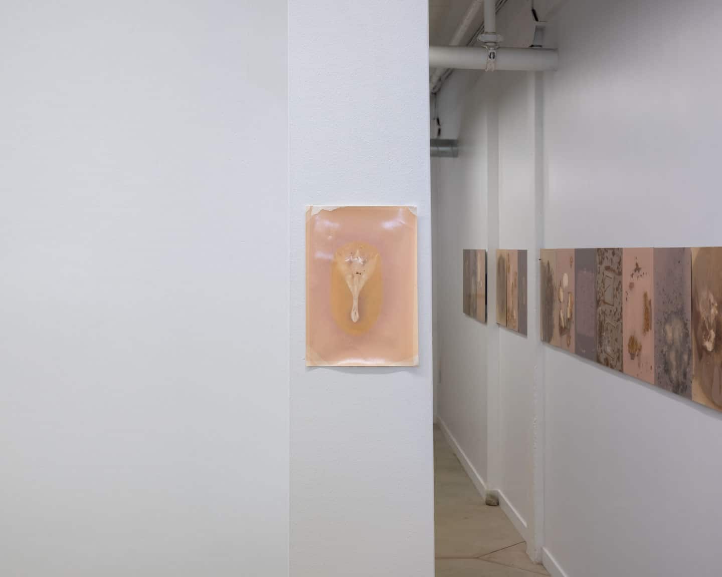 Solarity at NAMARA projects